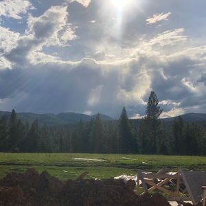 Meet your Posher, Lacey